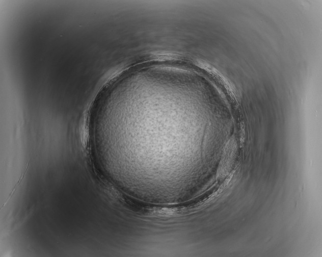 X0000103251261200809111608