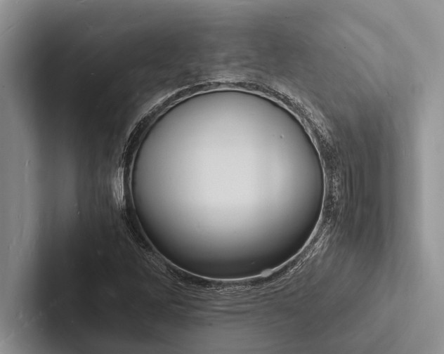 X0000103251262200809111608
