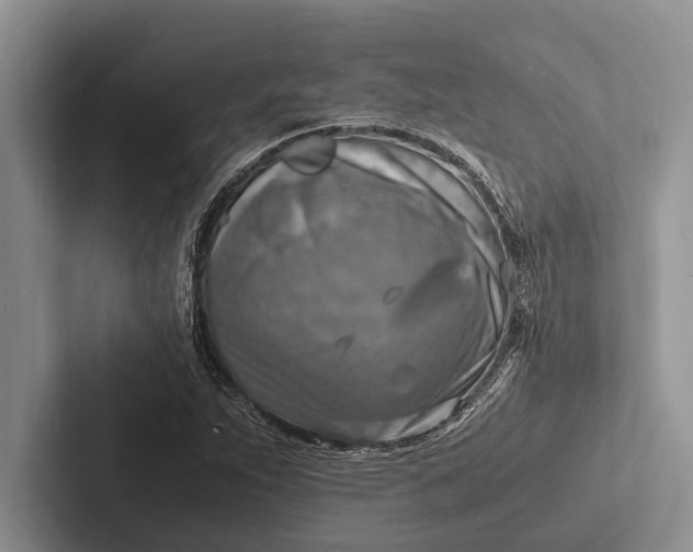 X0000103251263200809111608