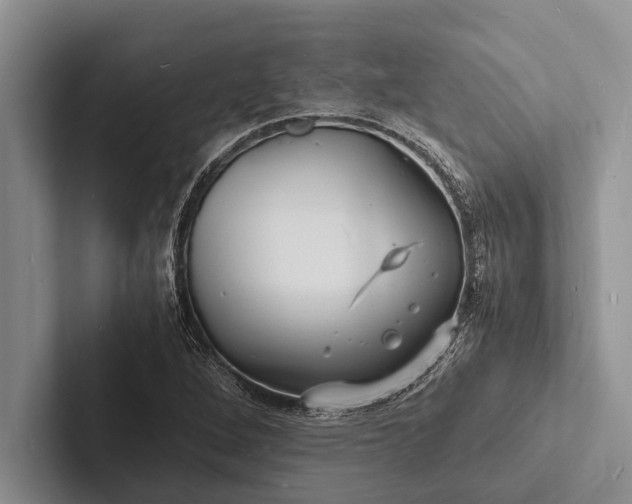 X0000103251264200809111608