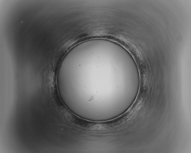 X0000103251265200809111608