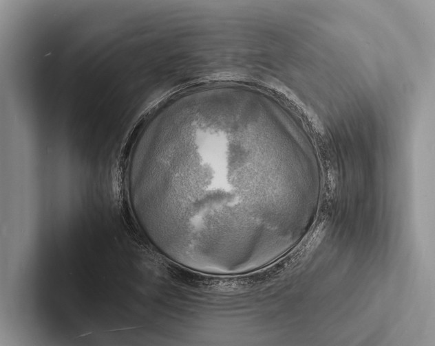 X0000103251266200809111608