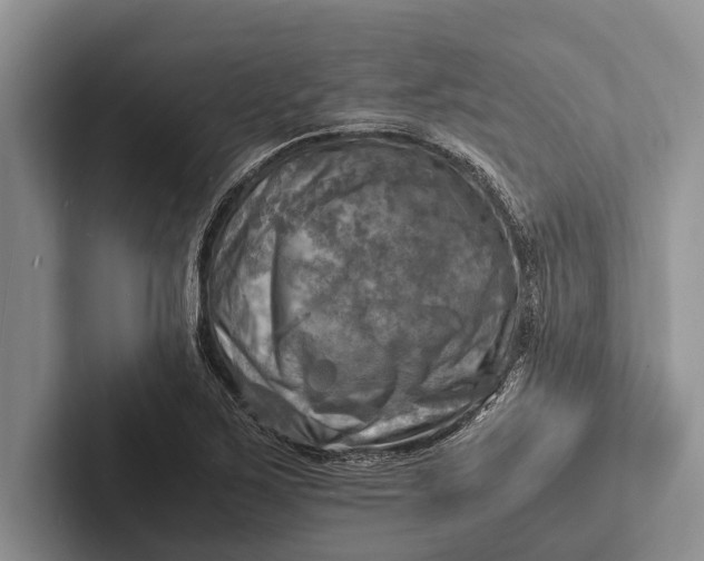 X0000103251267200809111608