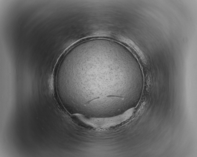 X0000103251268200809111608