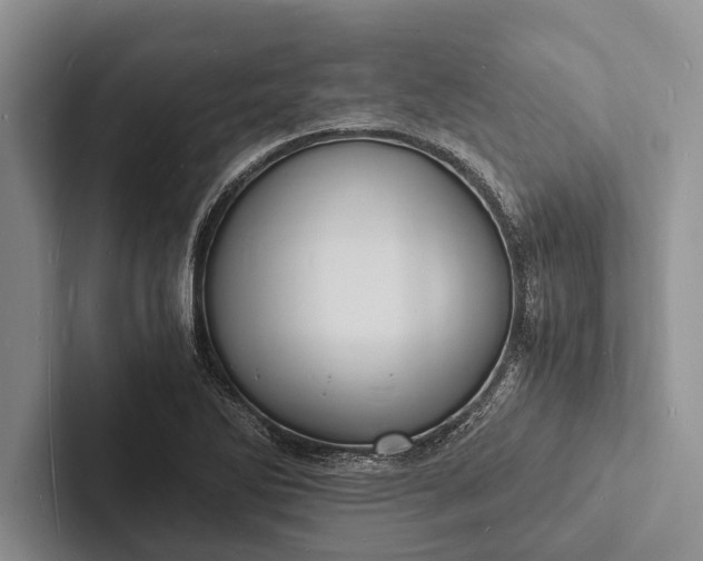 X0000103251270200809111608