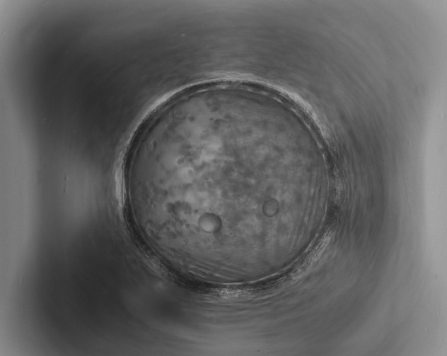 X0000103251271200809111608