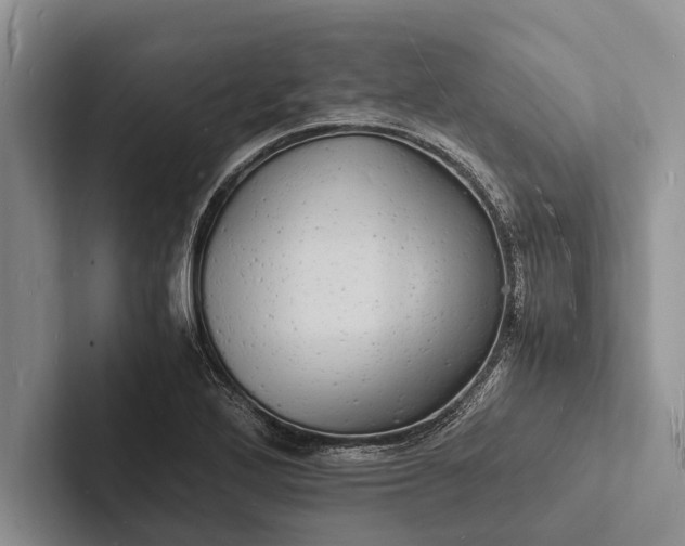 X0000103251272200809111608