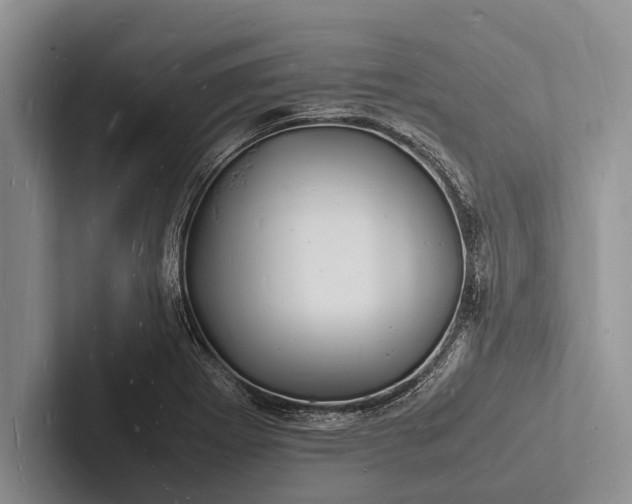 X0000103251273200809111608