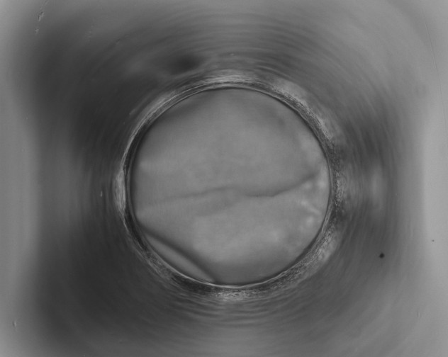 X0000103251274200809111608