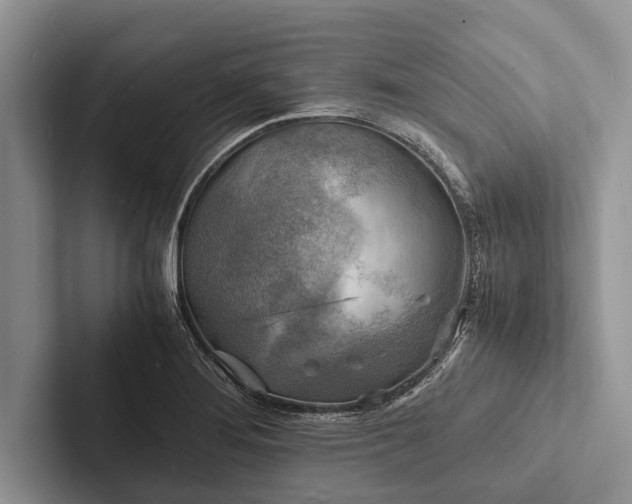 X0000103251276200809111608