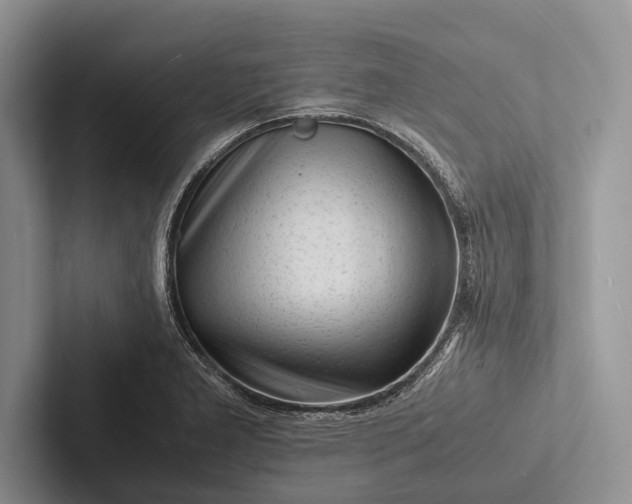 X0000103251277200809111608