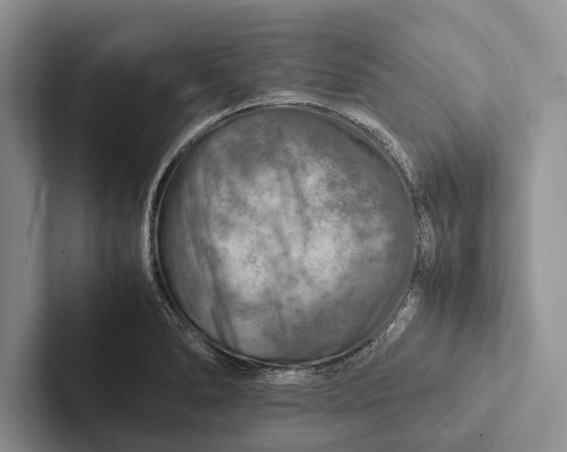 X0000103251278200809111608