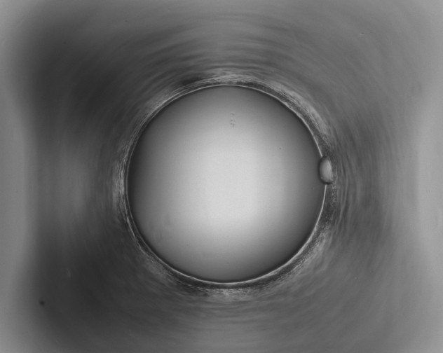 X0000103251281200809111608
