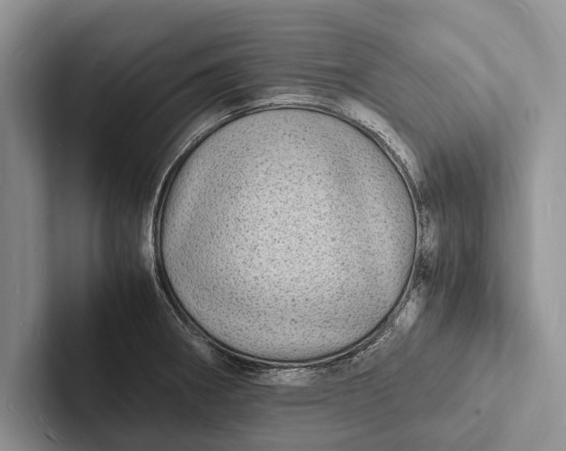 X0000103251282200809111608