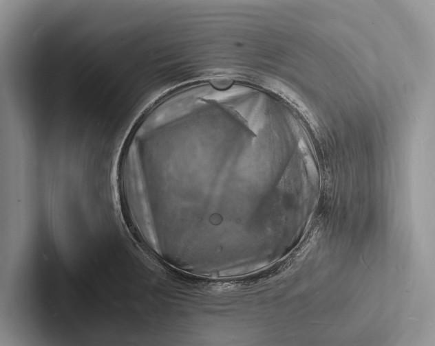 X0000103251283200809111607
