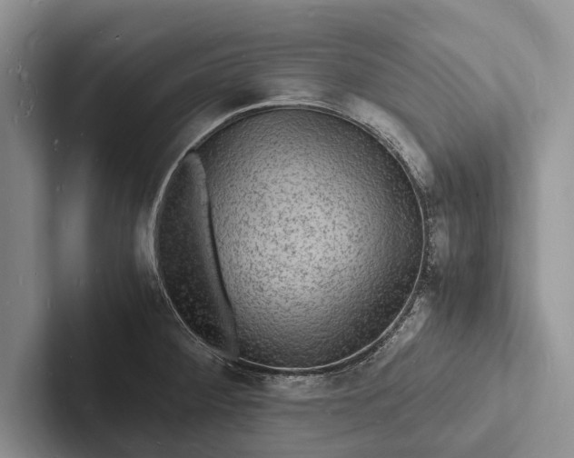 X0000103251284200809111607