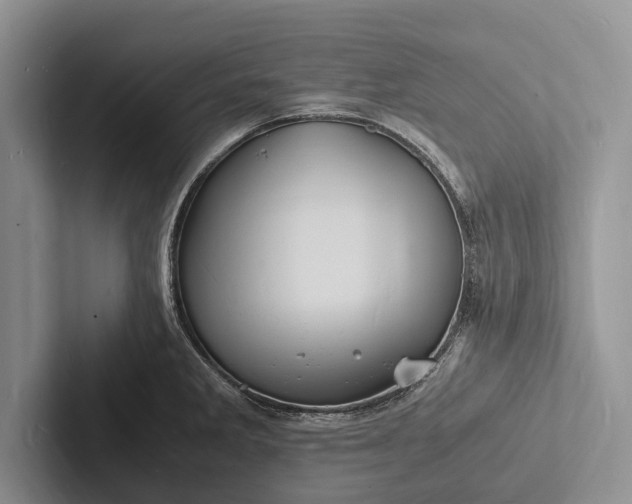 X0000103251285200809111607