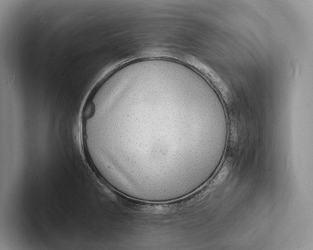 X0000103251286200809111607