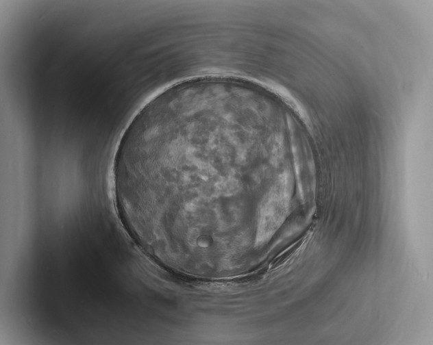 X0000103251287200809111607