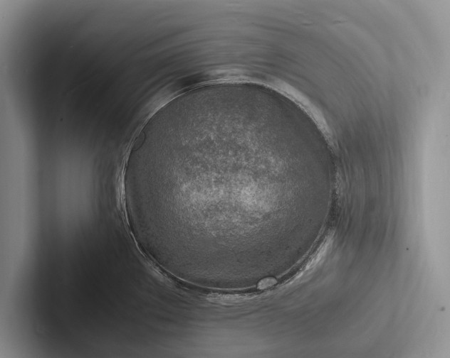 X0000103251289200809111607
