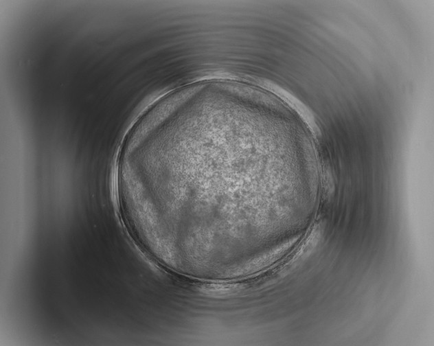 X0000103251290200809111607