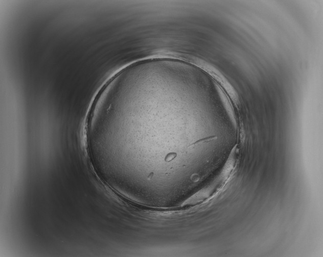X0000103251292200809111607