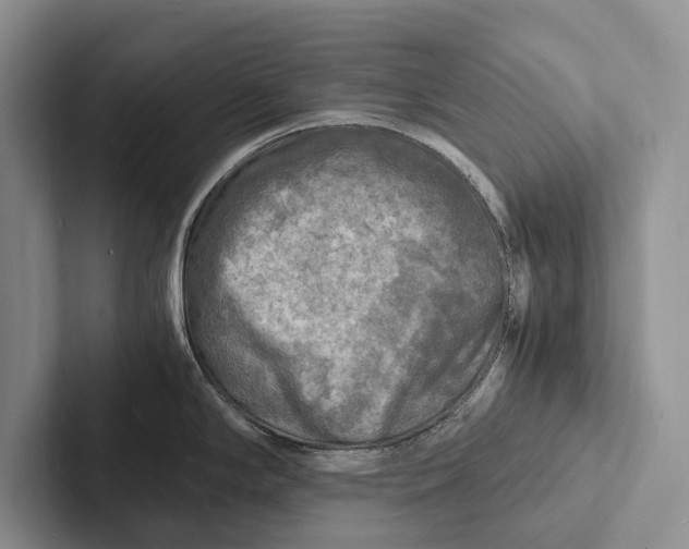 X0000103251294200809111607