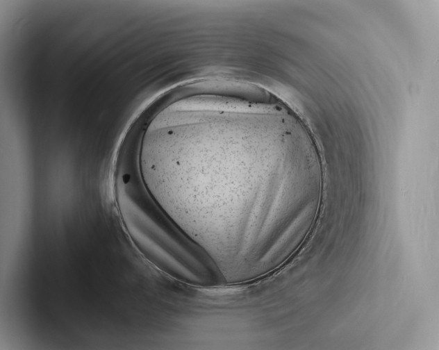 X0000103251296200809111607