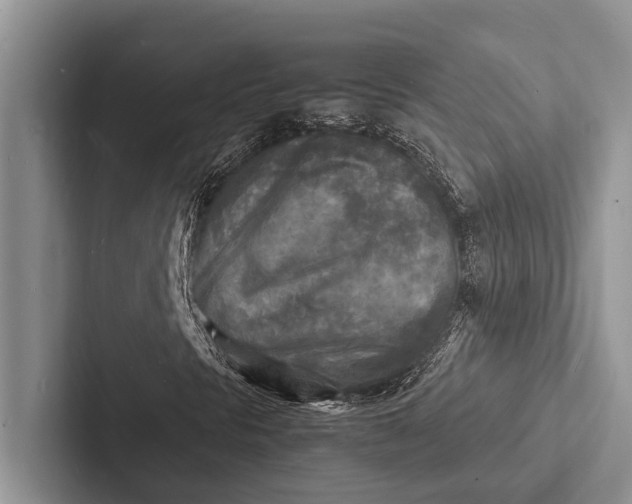 X0000103251297200809111607
