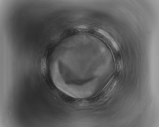 X0000103251298200809111607