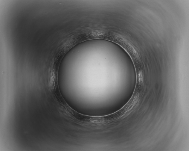 X0000103251299200809111607