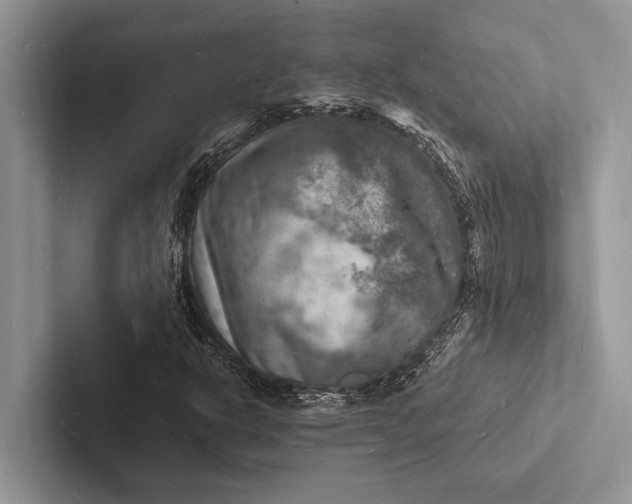 X0000103251302200809111607