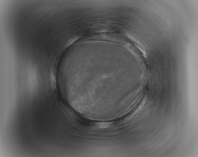 X0000103251305200809111607