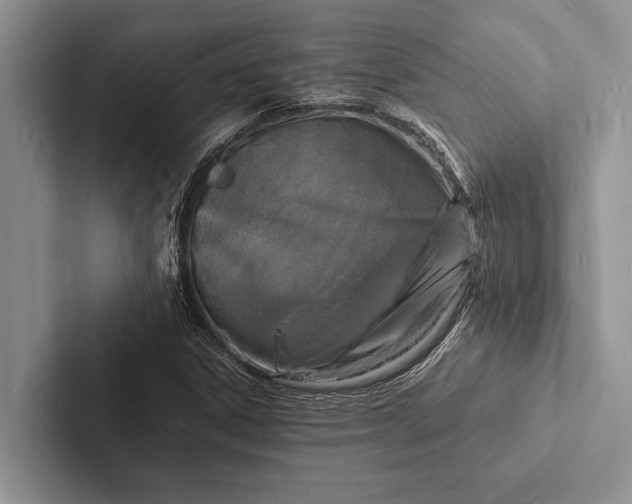 X0000103251306200809111607
