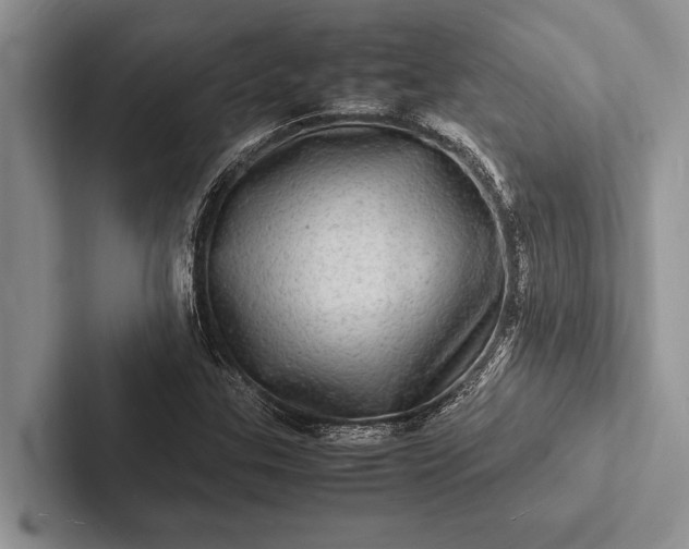 X0000103251307200809111607