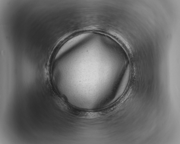 X0000103251308200809111607