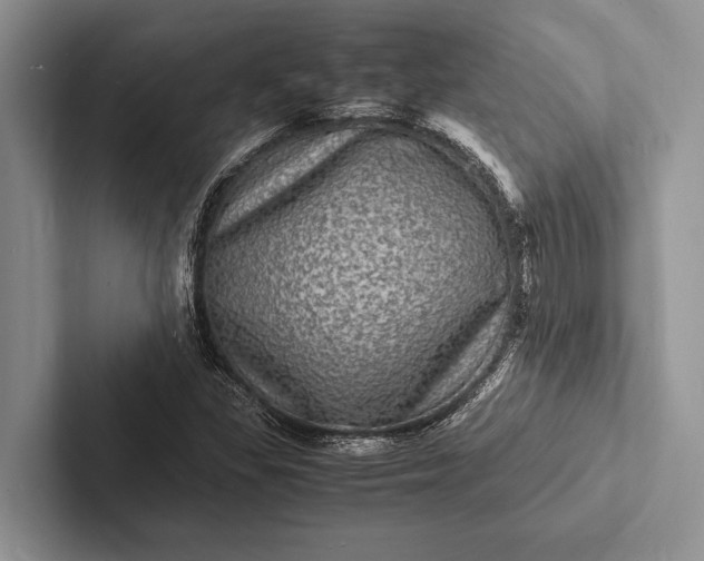 X0000103251309200809111607