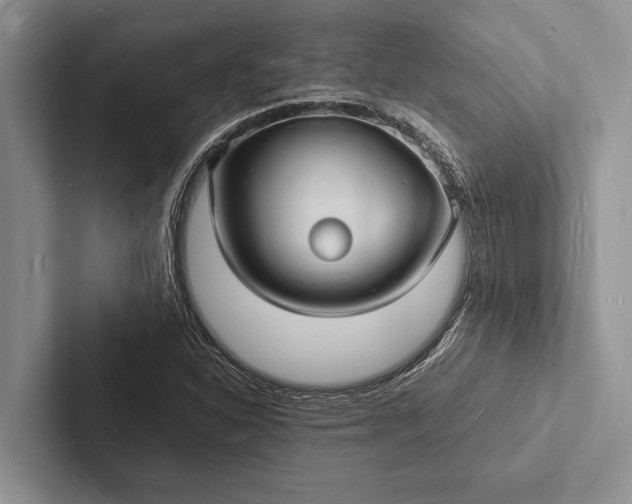 X0000103251310200809111607