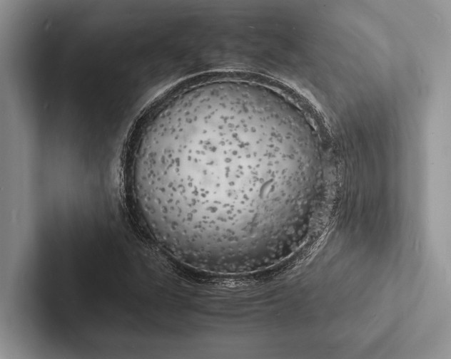 X0000103251311200809111607