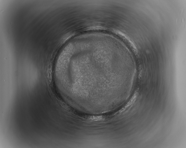 X0000103251313200809111607