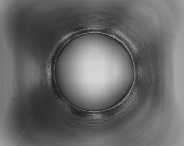 X0000103251315200809111607