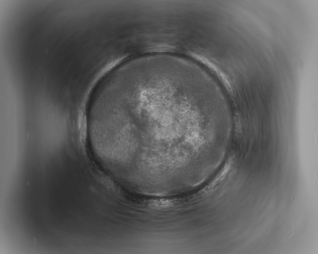 X0000103251317200809111607