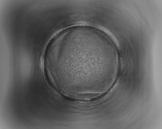 X0000103251318200809111607