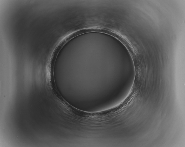 X0000103251319200809111607