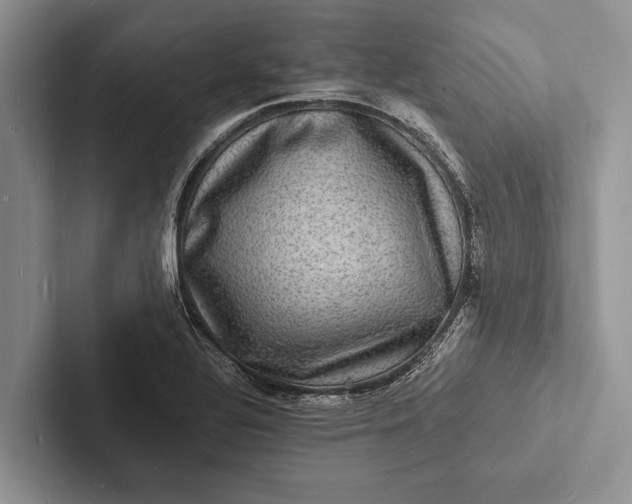 X0000103251320200809111607