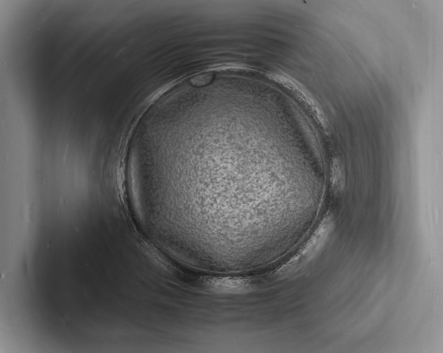 X0000103251321200809111607