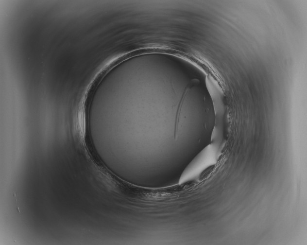 X0000103251323200809111607