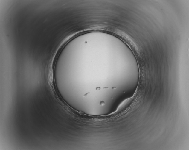 X0000103251324200809111607