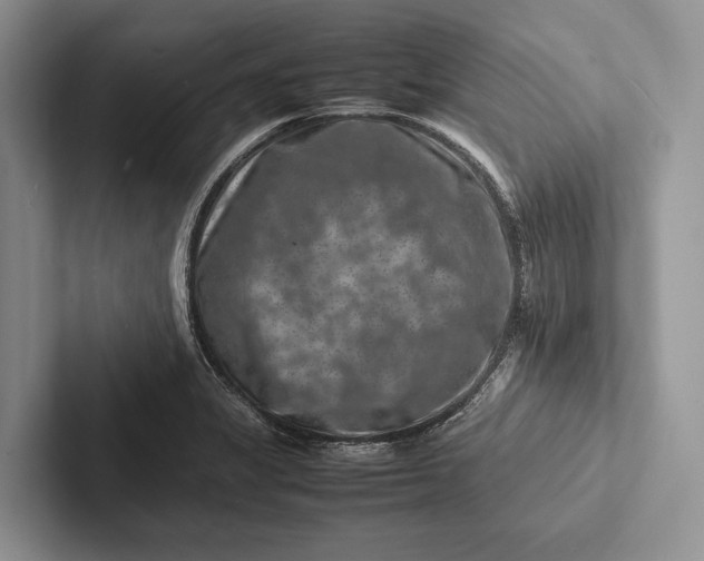 X0000103251325200809111607
