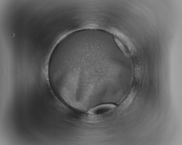 X0000103251326200809111607
